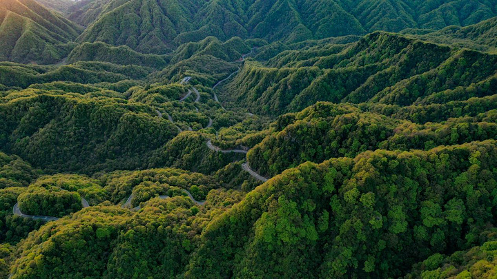 向下可以看到被层层叠叠的苍翠绿林包裹的秀美山峰，透露着无限生机……