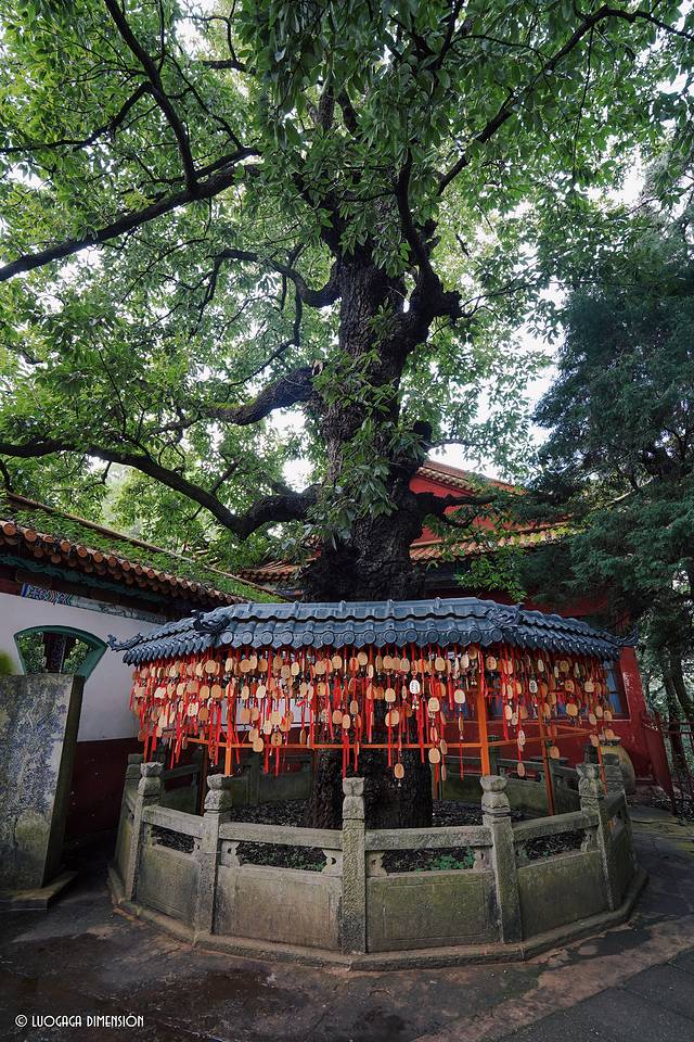 金殿风景名胜区