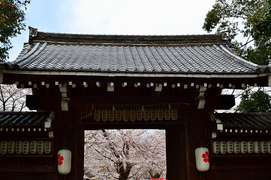平野神社旅游景点图片