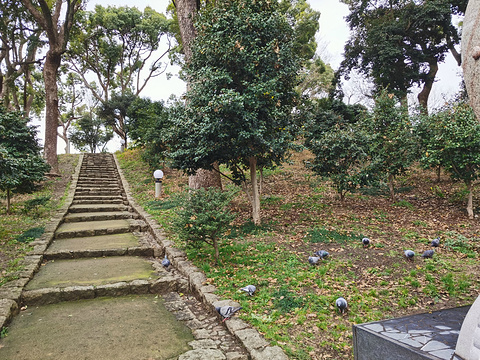 天王寺公园旅游景点攻略图