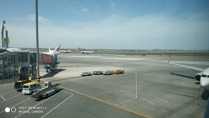"地窝堡机场分为好几个航站楼，比厦门机场大得多，我们乘坐的是国内航班，因此在T1航站楼比较小_地窝堡国际机场"的评论图片