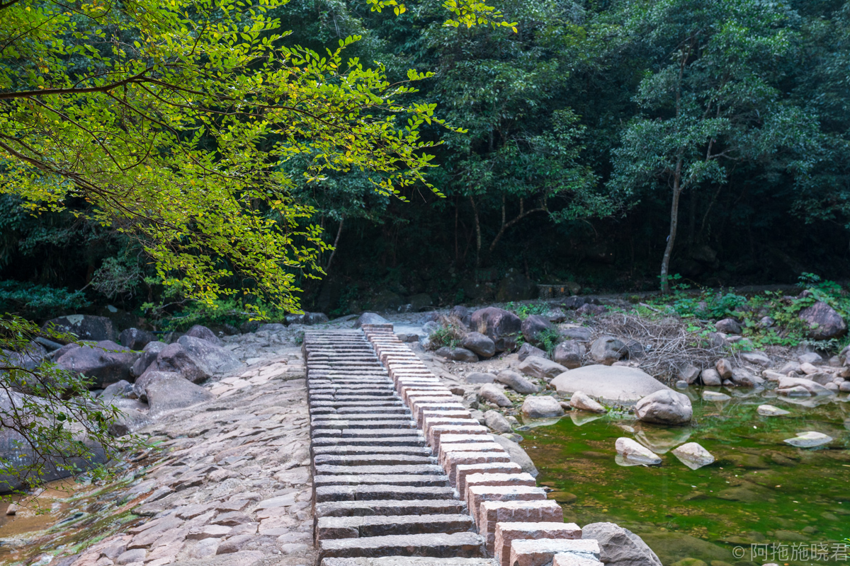 一路沿着步道走,身边的溪水清澈见底,为了丰富景区的好玩程度,还有