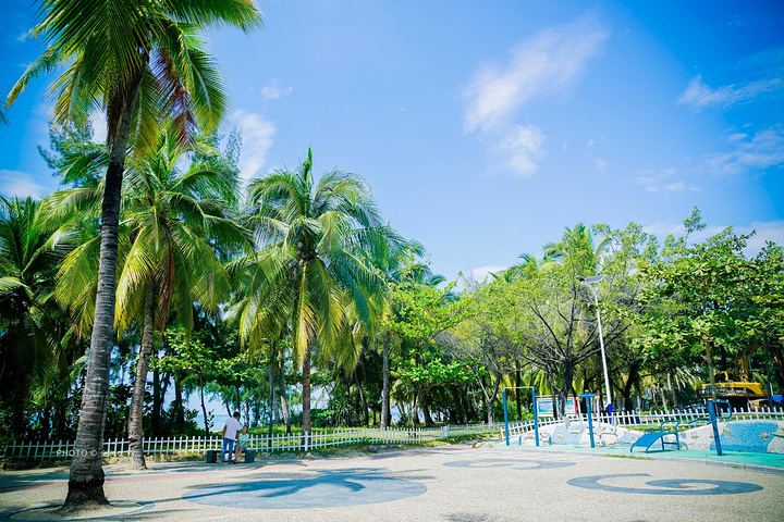 "椰梦长廊是环 三亚湾 修建的一条著名的海滨风景大道，所以除了椰林，这里的沙滩也不容错过。门票：免费_椰梦长廊"的评论图片