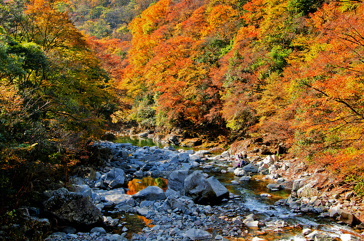 "光雾山|最佳旅游季节是秋季_光雾山旅游景区"的评论图片