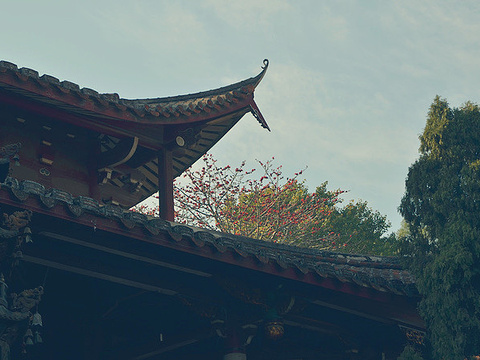 南山广化寺旅游景点图片