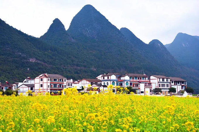 乡游黔中 · 兴义市 万福村丨油菜花开满！最早的金色春天在这里-兴义 …