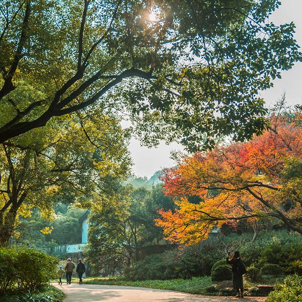 公园什么时候去合适 054dbfe694a3e0c57bd1d3be21a2aa35.jpg_600x600x70_02fbea9d.jpg