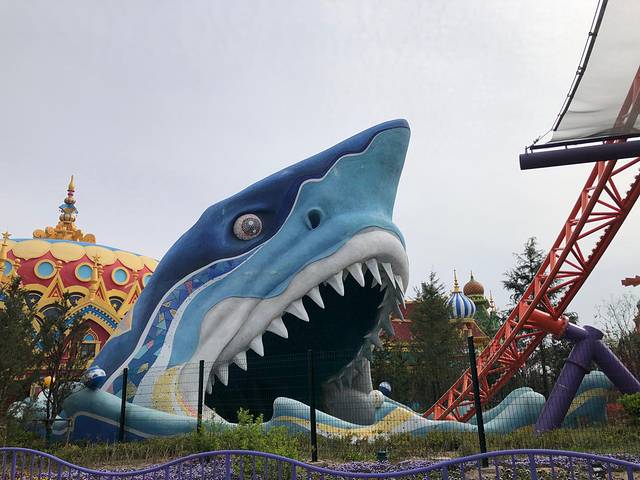 海豚过山车