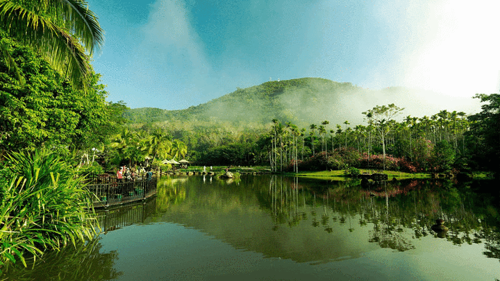 "【呀诺达雨林文化旅游区】“呀诺达”是形声词，在海南本土方言中表示一、二、三_呀诺达雨林文化旅游区"的评论图片