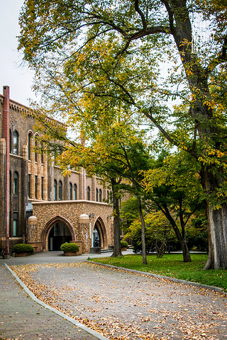 北海道大学法学院图片