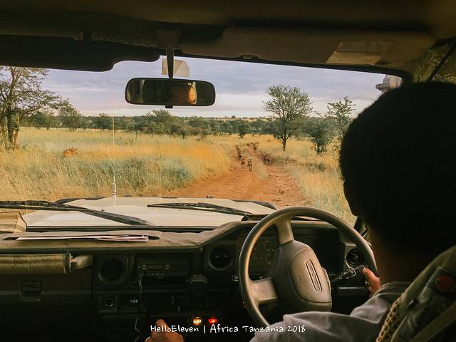 恩戈罗恩戈罗保护区