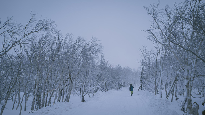 "...，看到北海道的大雪与不冻的海港，看过雾凇，看到结冰的湖泊，在这里看到了冬季的另外一种静谧的美好_雪乡大雪谷"的评论图片