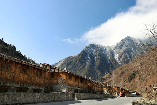 卧龙自然保护区