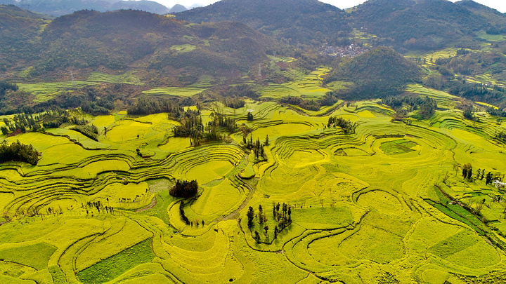 "螺丝田是由串珠岩溶漏斗地质地貌构成的自然景观，是别的地方所没有的，值得一观_螺丝田"的评论图片