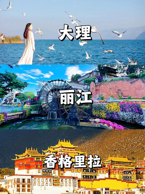 总要去趟云南吧～7天6晚攻略来啦💰|-旅游攻略-游记-去哪儿攻略