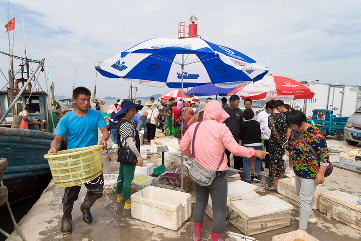 "第二站：港东渔码头码头上的海鲜又便宜又新鲜，每天下午两点会开市，可以来逛吃逛吃_港东渔码头"的评论图片