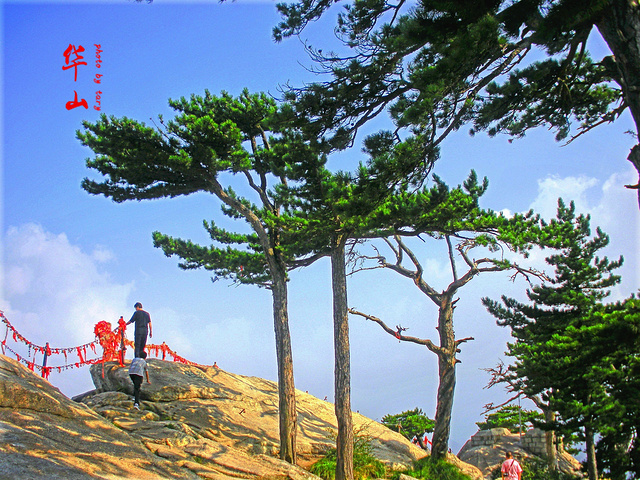 "华山东峰-可参观青龙潭、甘露池、三茅洞、清虚洞、八景宫_东峰(朝阳峰)"的评论图片