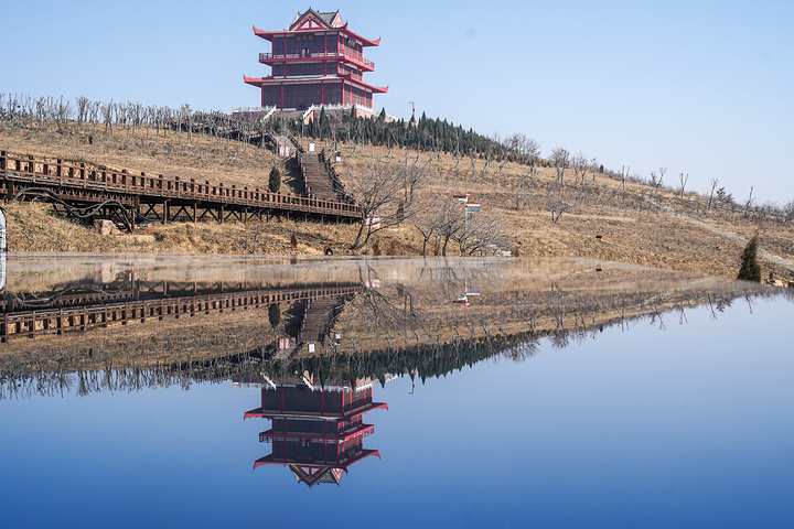 "伏羲山的云上牧场是被称之为“最适合打卡拍照”的圣地，也是情侣、亲子游的不二之选，这里有好几个区..._云上牧场"的评论图片