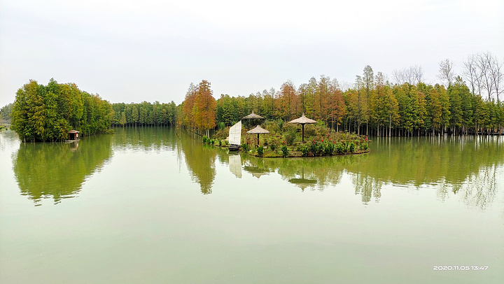 "仙桃梦里水乡位于仙桃市赵西垸林场，是一个文化旅游区，包括荷塘村，水上花海，乡野湿地公园，乡趣游..._梦里水乡"的评论图片