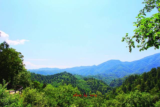 麦积山风景名胜区-麦积植物园