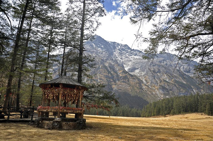 这里是东巴教的殉情圣地挂满了现代人的祈福木牌这里海拔3200风很大有