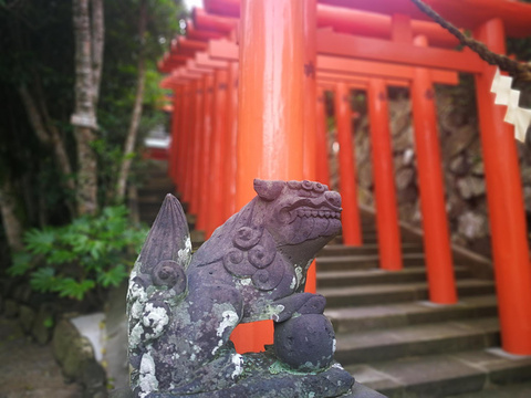 鹈户神宫旅游景点图片