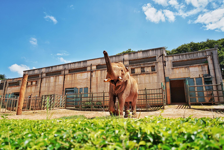 昆明動物園入口好多個門票20超便宜不過只收現金帶出來的現金終於第一