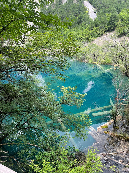 九寨沟沟口图片