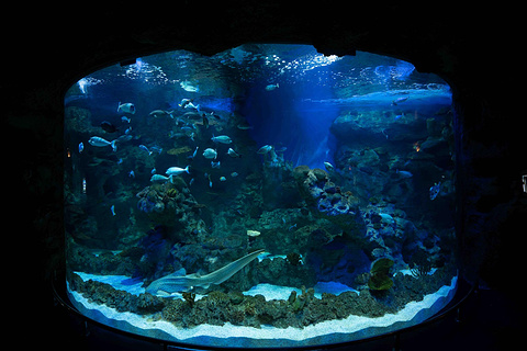 法基耶水族馆旅游景点攻略图
