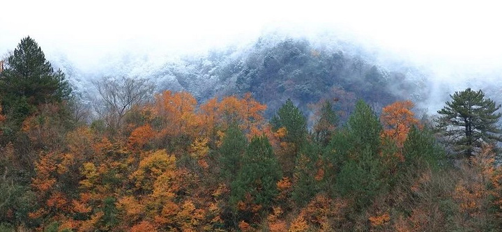 "_光雾山旅游景区"的评论图片