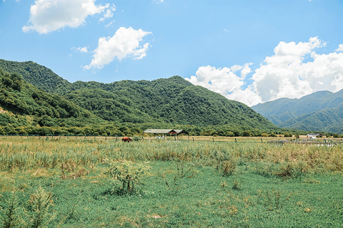 大九湖国家湿地公园旅游景点攻略图