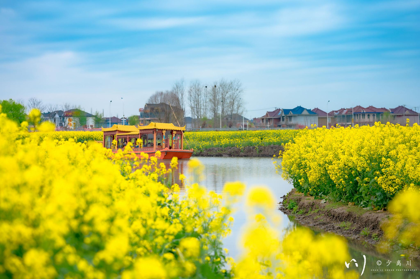 春风十里,与你一起去兴化追寻春天的脚步