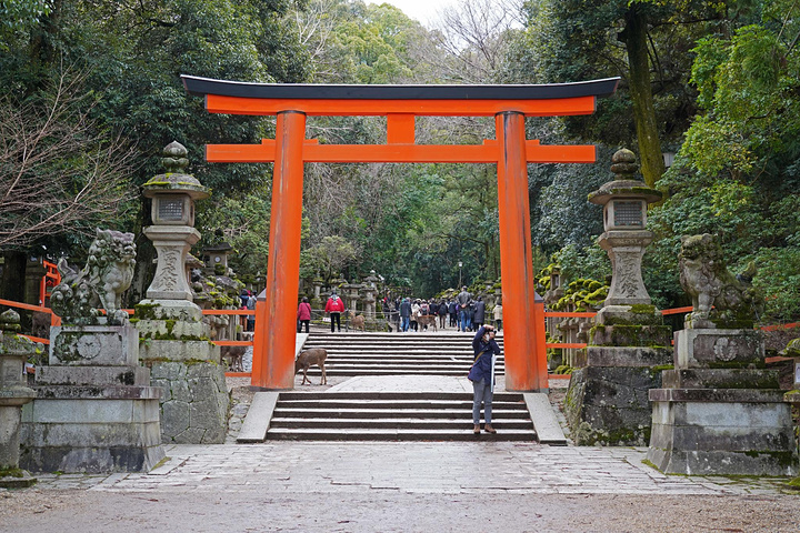 "离奈良公园很近，走着走着就到了，免费开放_春日大社"的评论图片