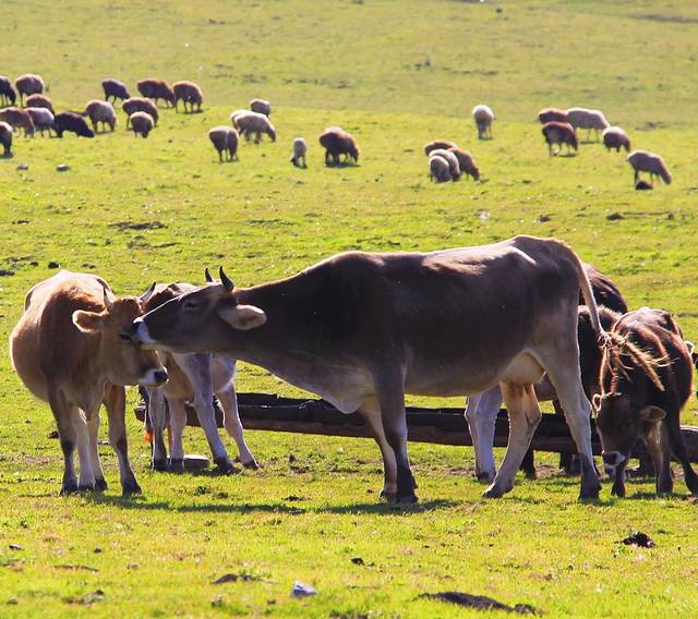 那拉提国家湿地公园