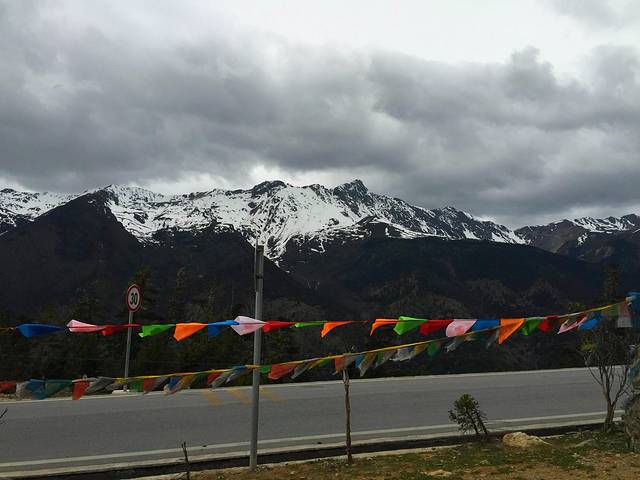 白马雪山观景台