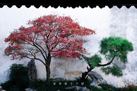 艺圃旅游景点攻略图