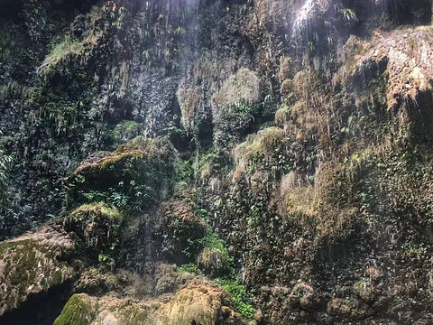 Tumalog 瀑布旅游景点图片