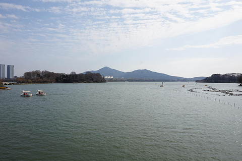 玄武湖景区旅游景点攻略图