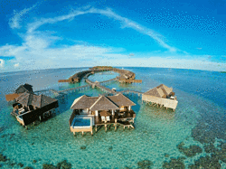 马尔代夫莉莉岛怎么样？好玩吗？多少钱？看马代海岛体验官的点评和攻略