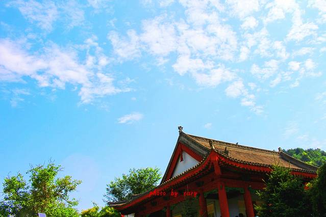 麦积山风景名胜区-麦积植物园