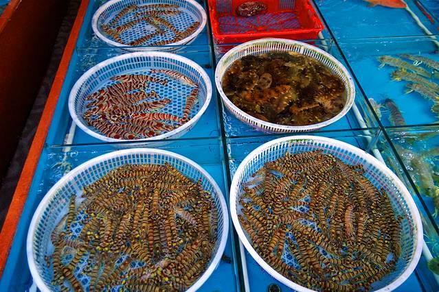 朱记手撕鸡(八市店)