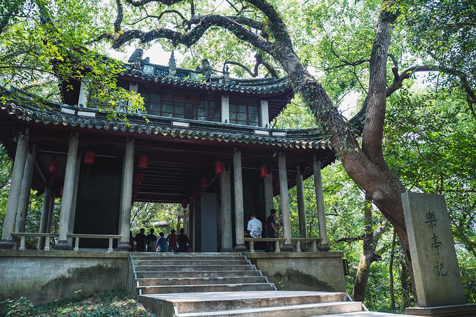 遇见宁波，暑游奉化，来一场绝美的赛博之旅-旅游攻略-游记-去哪儿攻略