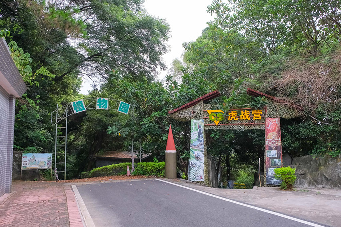 2,华南虎园:一起去看可可爱爱的小老虎们图片