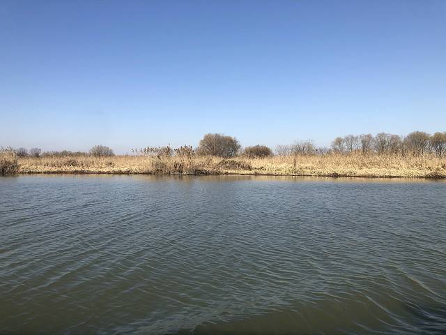 长兴太湖图影湿地文化园