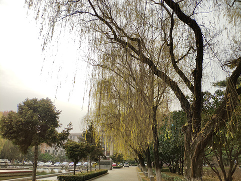 西安交通大学(兴庆校区)旅游景点图片