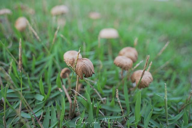 柳叶湖沙滩公园