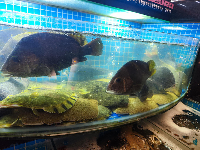连云港墟沟海鲜 / 军民海鲜图片