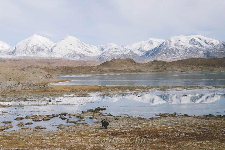 "卡拉库里湖水面映衬着巍峨又神秘的慕士塔格峰，白雪皑皑，山水同色，唯一遗憾的就是没有穿裙子_卡拉库里湖"的评论图片
