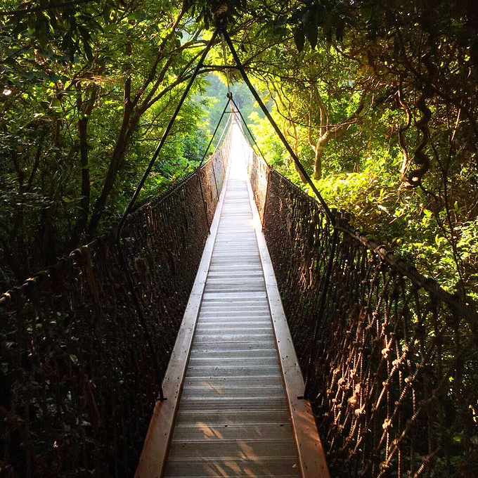 亚龙湾热带天堂森林公园图片