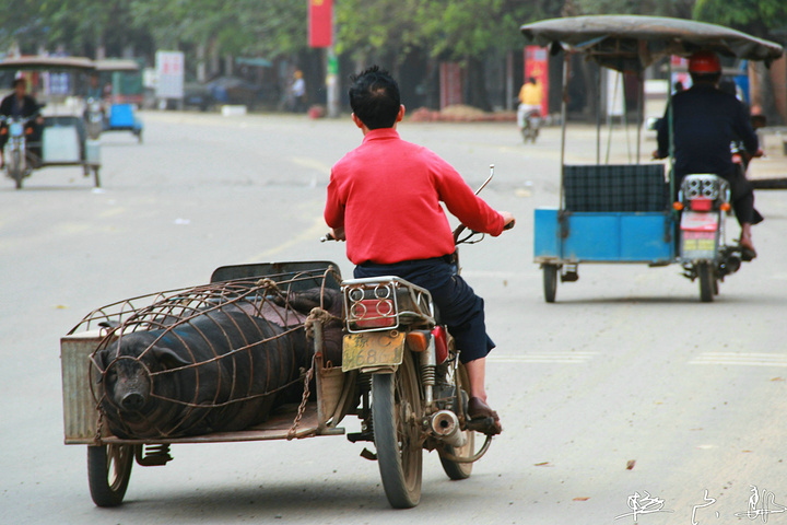 风采车